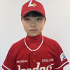 박서진 프로필