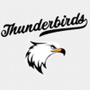 썬더버드 로고
