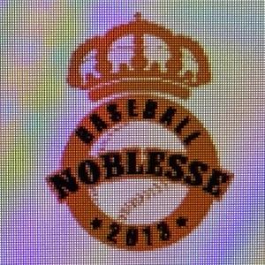 분당 노블레스 로고