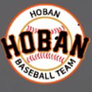 TEAM HOBAN 로고