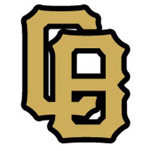 사이버브레이브스 로고