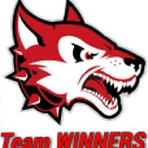 Team Winners Baseball 로고